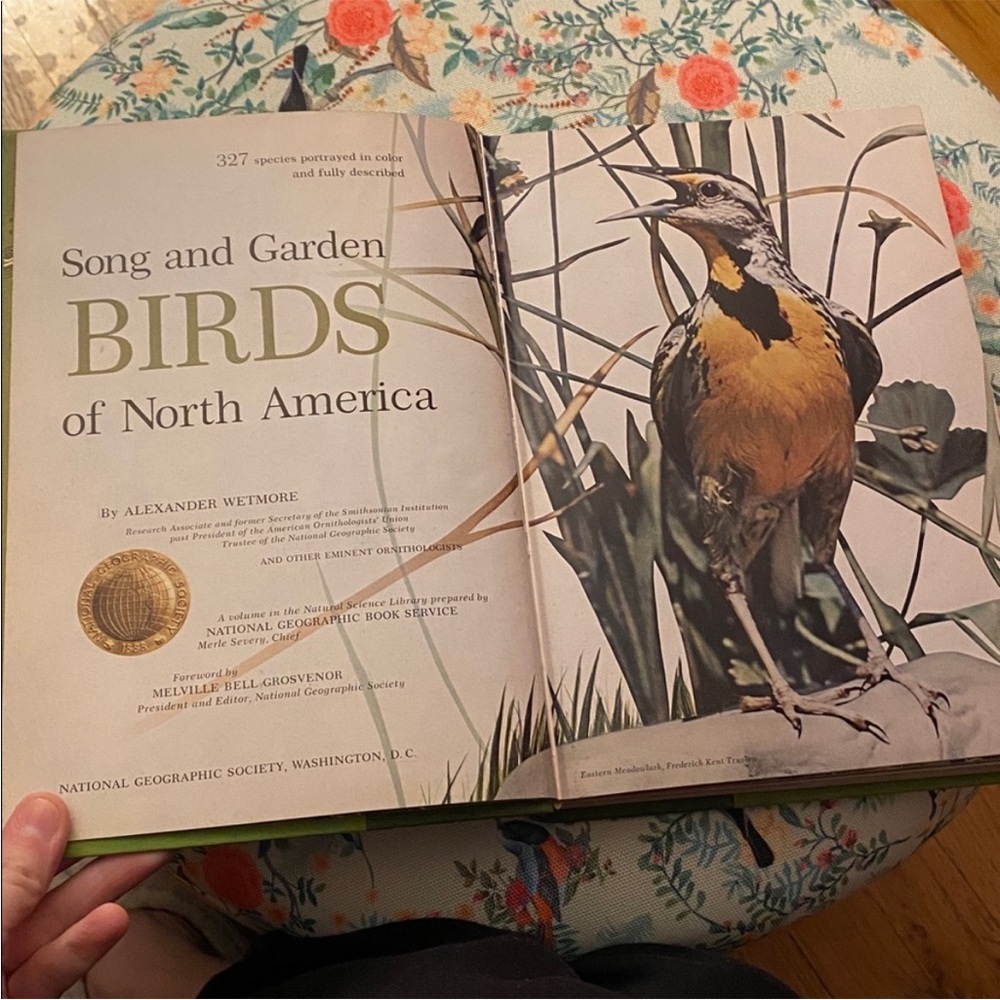 "Song and Garden Birds of North America by Alexander  Wetmore" Vintage 1964